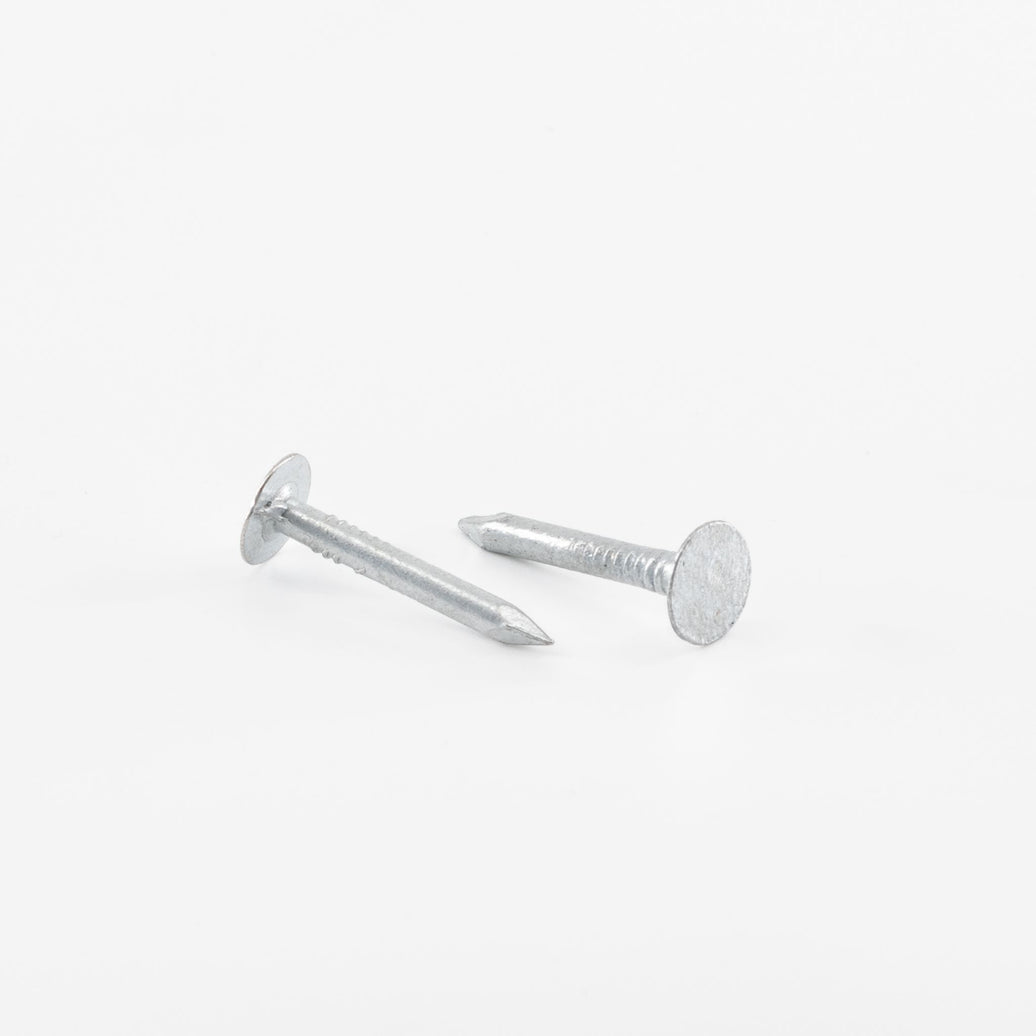 Proftec 3.0x25mm asfaltnagels verzinkt 1 KG